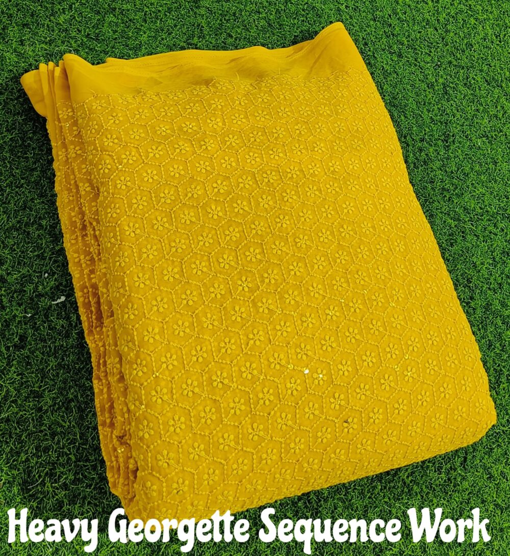 Heavy Georgette Sequence Kerry Patta - Image 13