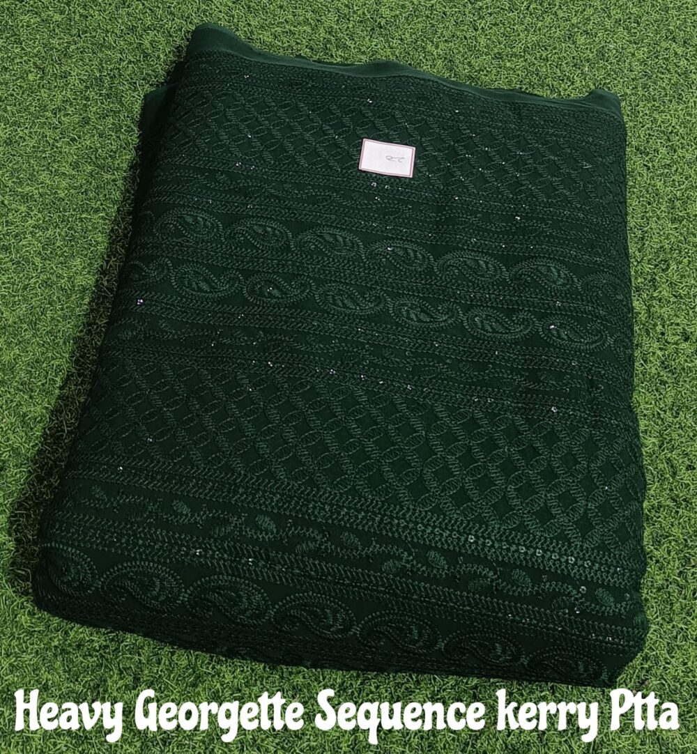 Heavy Georgette Sequence Kerry Patta - Image 10