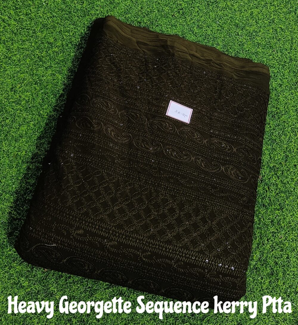 Heavy Georgette Sequence Kerry Patta - Image 12