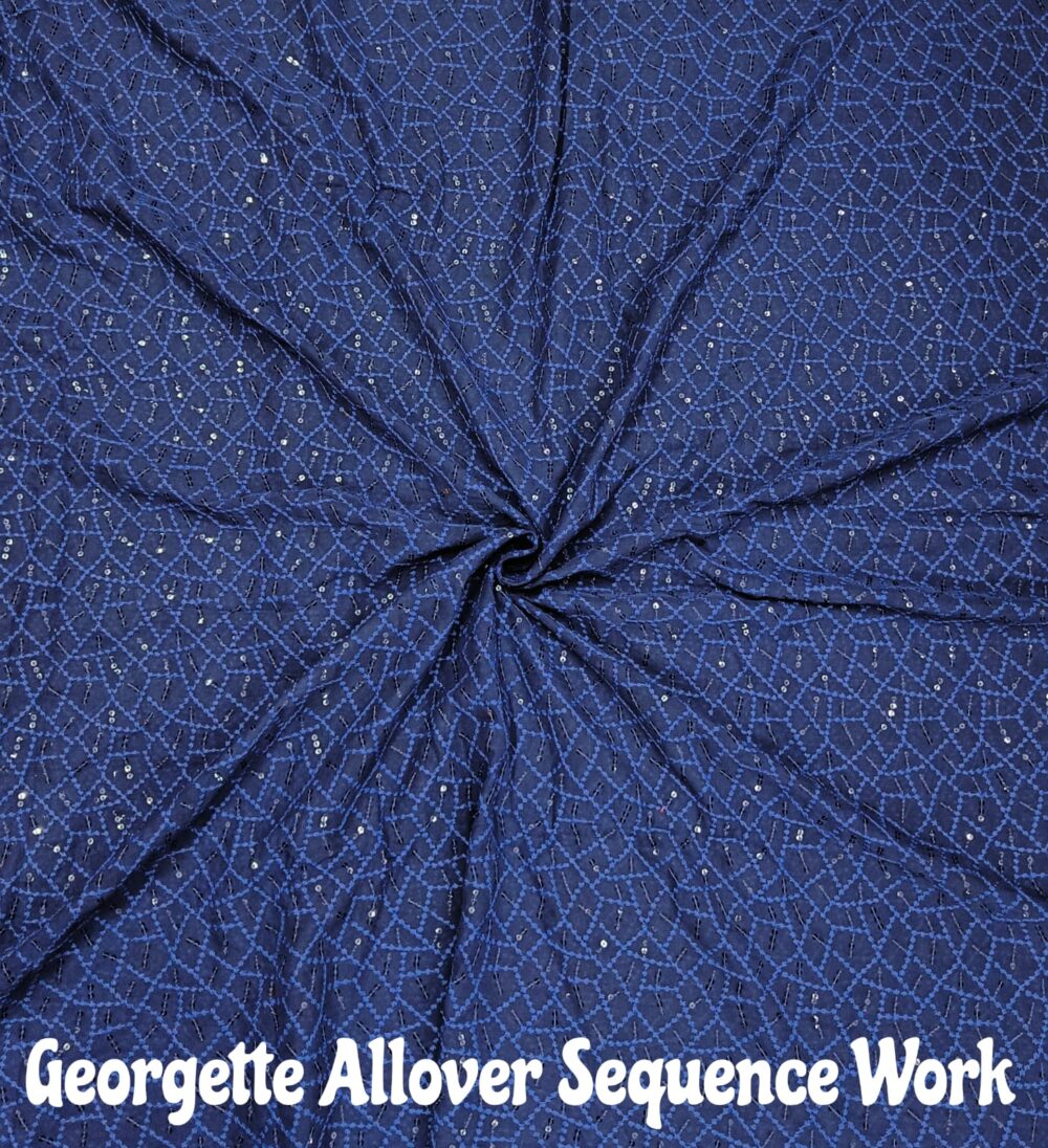 Georgette Sequence Allover Work - Image 13