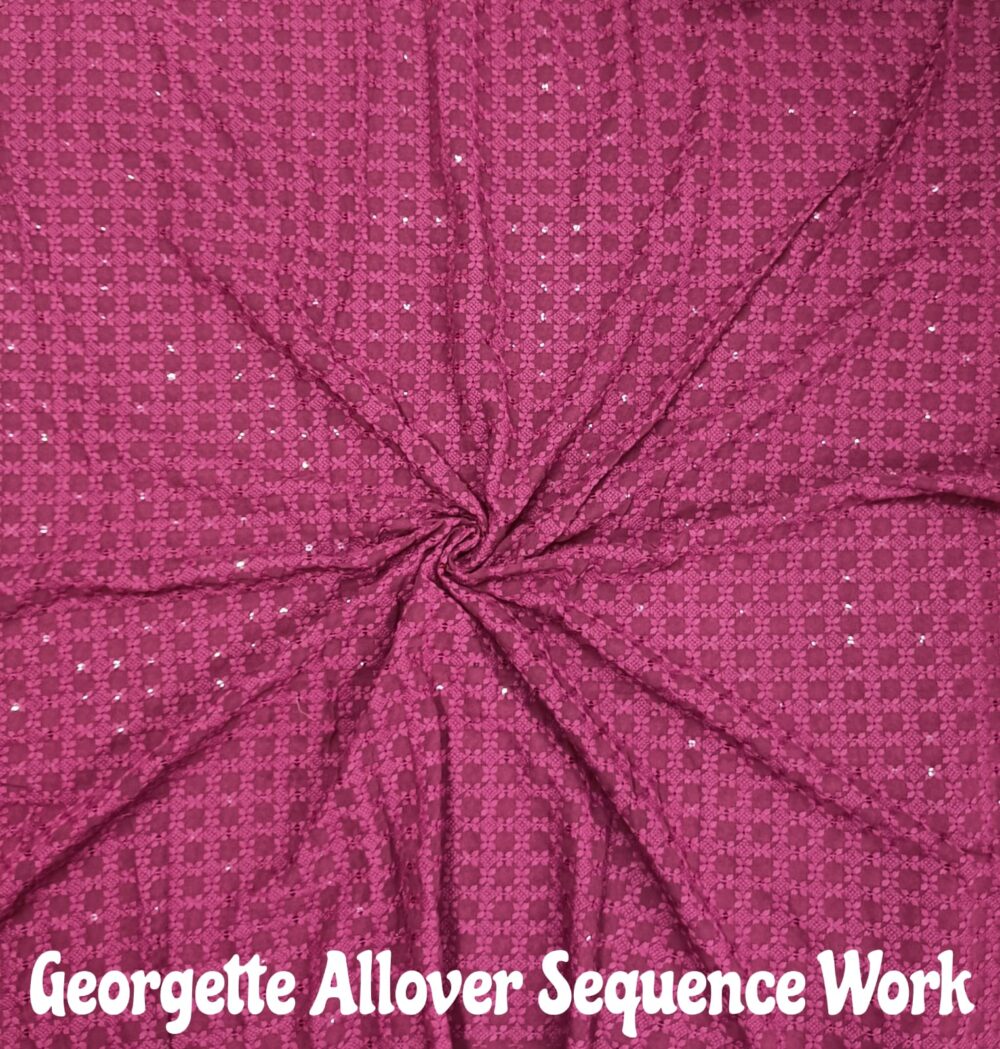 Georgette Sequence Allover Work - Image 14