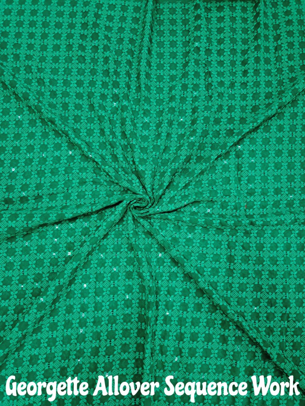 Georgette Sequence Allover Work - Image 15