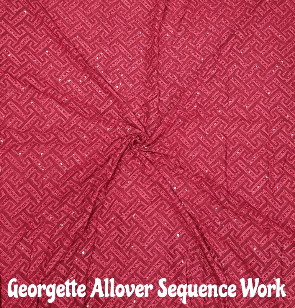 Georgette Sequence Allover Work - Image 2