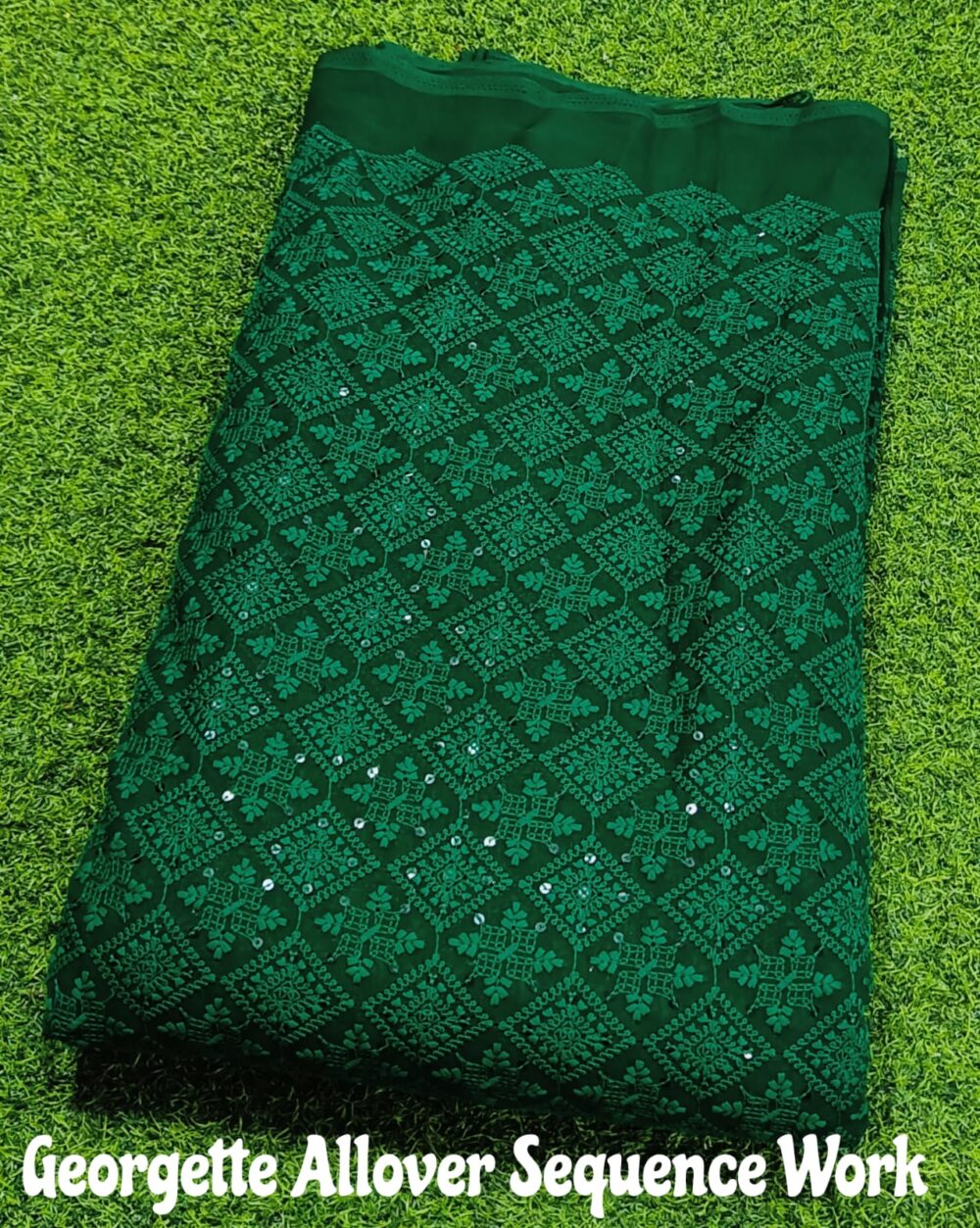 Georgette Sequence Allover Work - Image 10