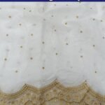 Pure Organza Cut Work dupatta